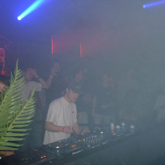 ilex