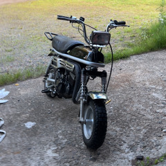 pikkulepa