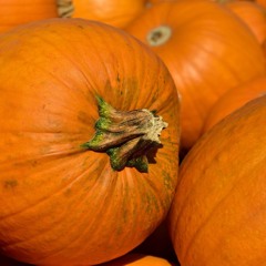 aa