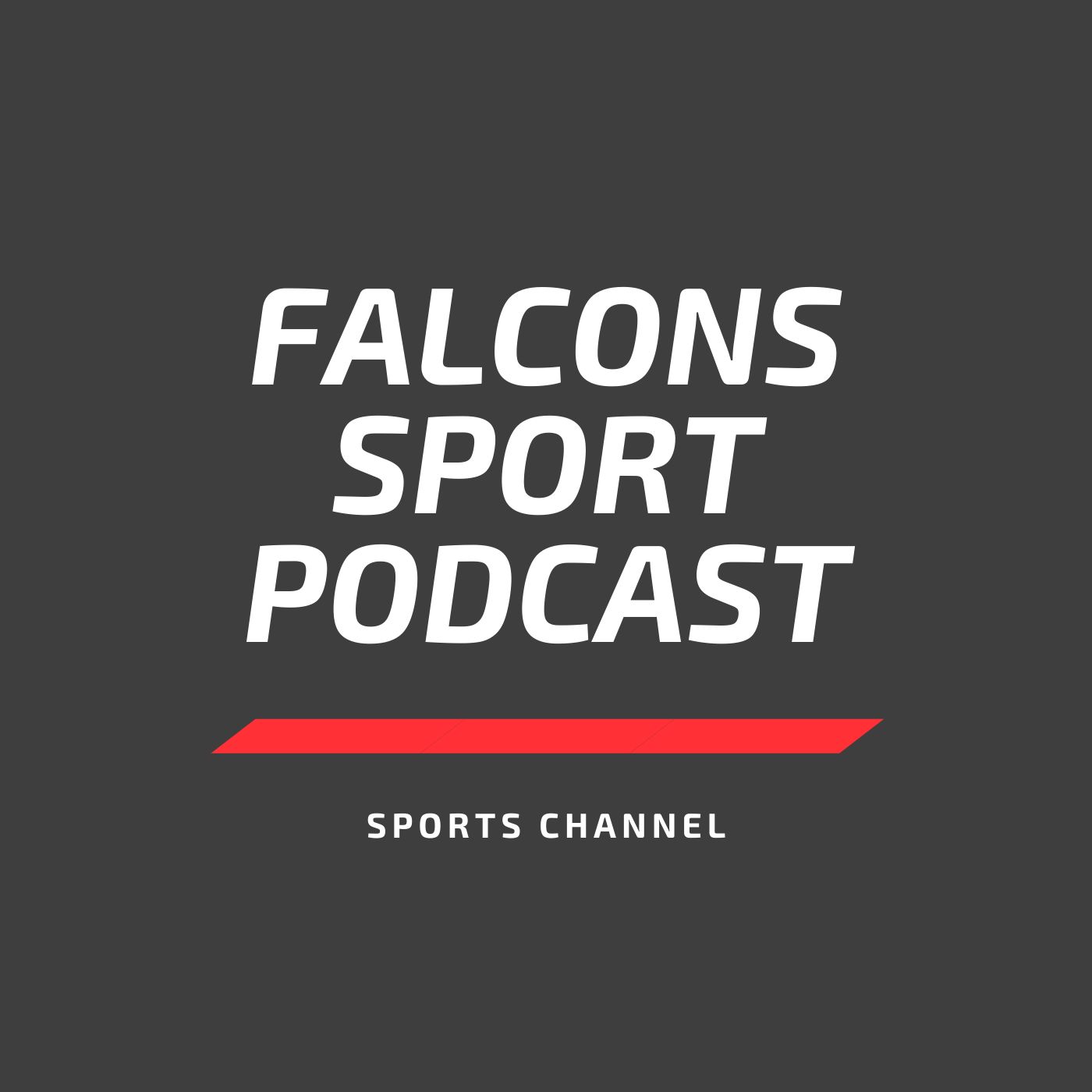 Falcons Sports
