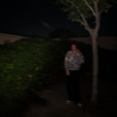 𝖆𝖑𝖋𝖆𝖓𝖎.𝖝