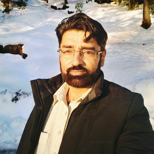 Tariq mehmood’s avatar