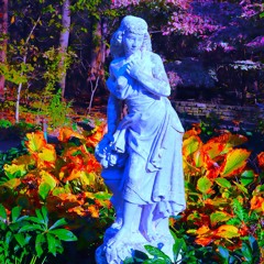 Harold PatPatrick Jr.