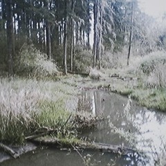 ‎      ‎@vmp🩸