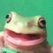 HammeredZebra55