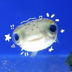 Karpik