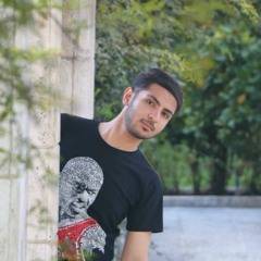 mohsenarab