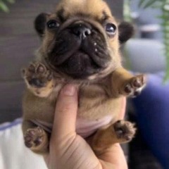 соня трусова.