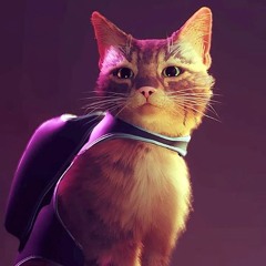 ☁︎☆ Outsider from Stray☆☁︎