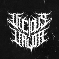 ViciousValorOfficial