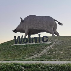 Alibabar 🇨🇵🍓