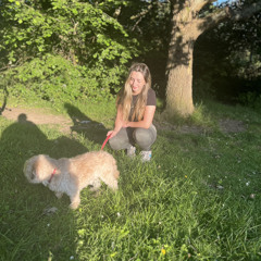 sophie s