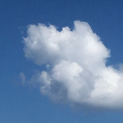 ‫אשר אלבז‬‎