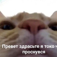 ZXCSF