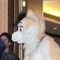 furryconvention2006