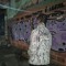 gonD