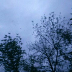 Ольга Родионова