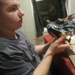 skyler