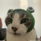 lil Cfrog