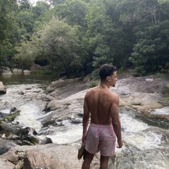 Anthodozo