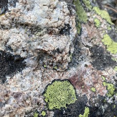 Dark Water Reservoir