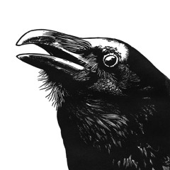 The Raven