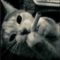 justalx