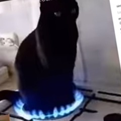 nubson420