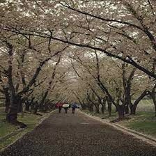 new song 136bpm emin