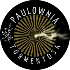 Paulownia Tormentosa