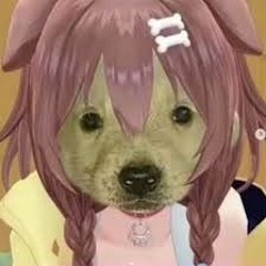 DogeTheAlternate