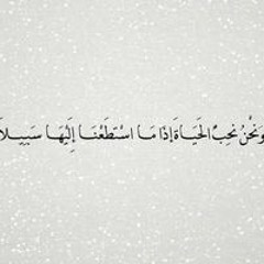 Fatma Shehata