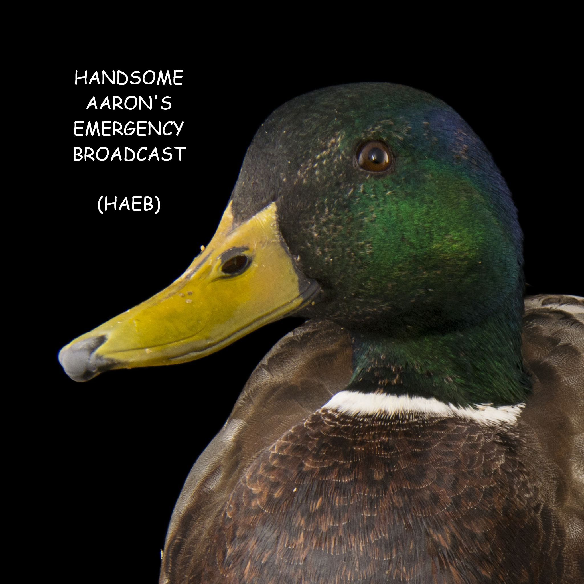 Handsome Aaron's Emergency Broadcast