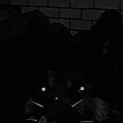 _lupos