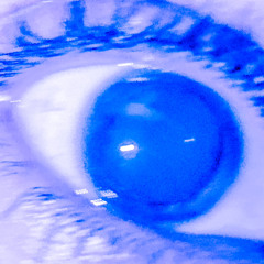 ILANDPETE