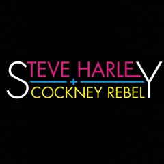 Steve Harley