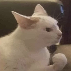 ssophiaa