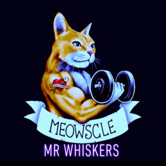 Mr Whiskers