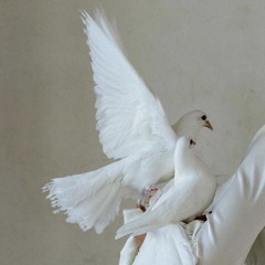 نِهال