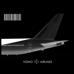 Vidno Airlines Records