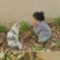 شهِود