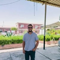 Alaa Abo Elellaa Alaa