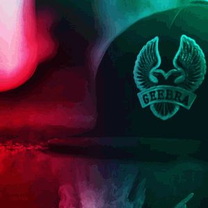 GEEBRA!!!