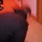 sturz123