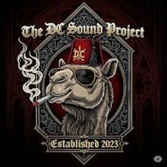 The DC Sound Project