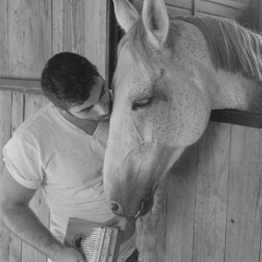 Runaway Horses Ambient