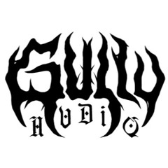 GULLY AUDIO