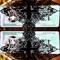 moonshyne / mondschein