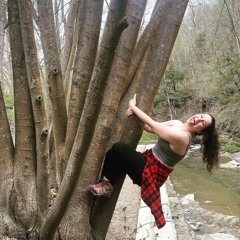 crazycurlydev