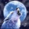wolfy